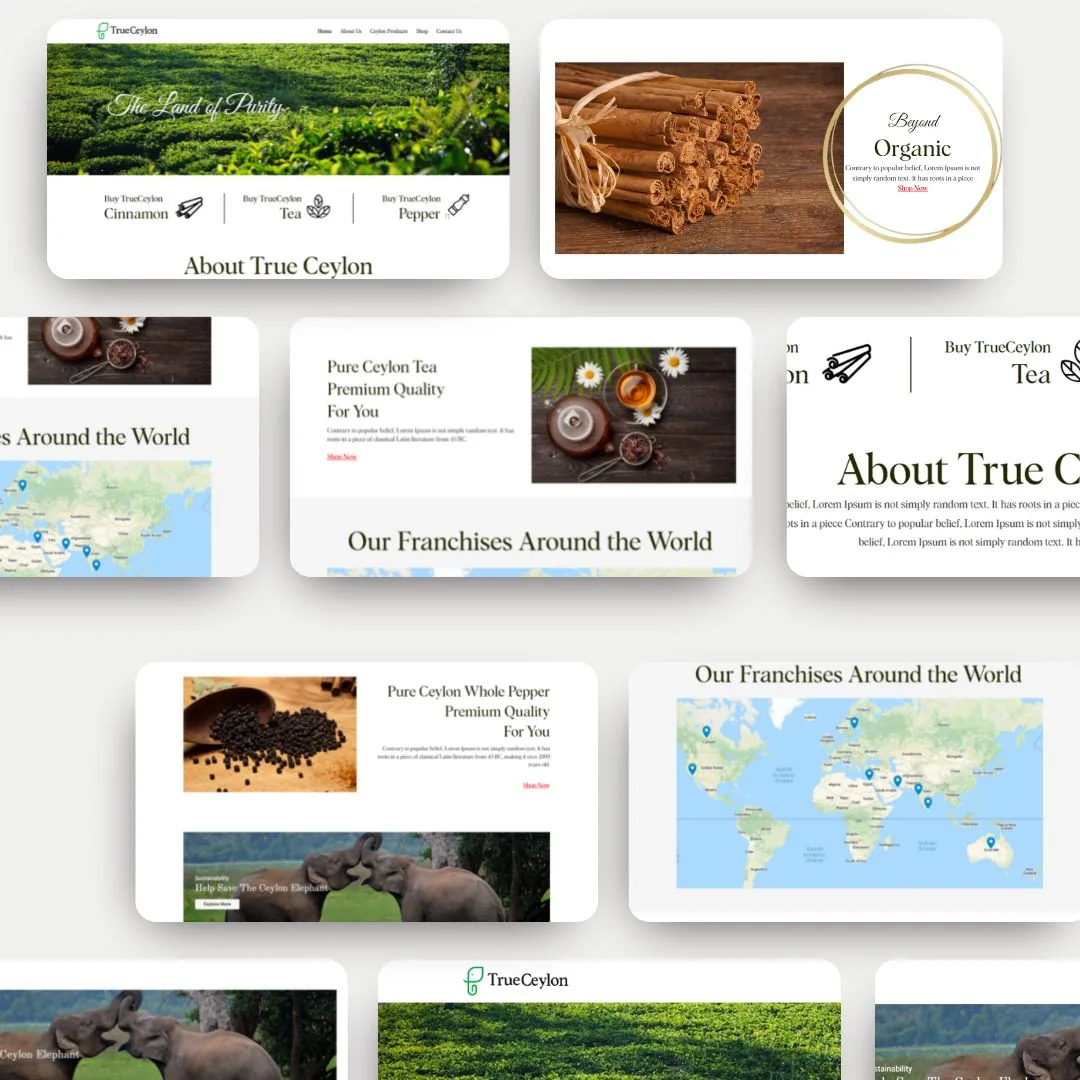 TrueCeylon project